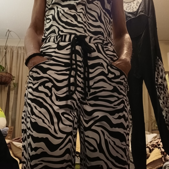 😁New 2 piece Zebra Print Set - Picture 2 of 10